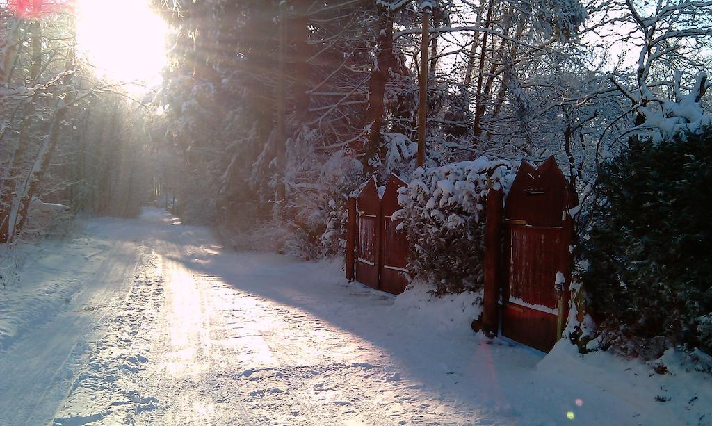 Norwegisches Holzhaus Villa Нойрупин Екстериор снимка